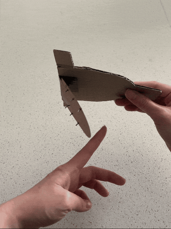 Concept 5